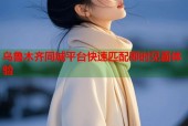 乌鲁木齐同城平台快速匹配即时见面体验