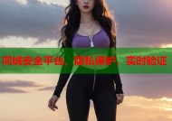 同城安全平台，隐私保护，实时验证