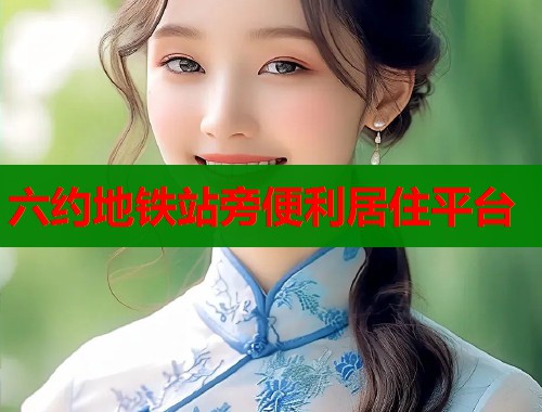 六约地铁站旁便利居住平台  第1张